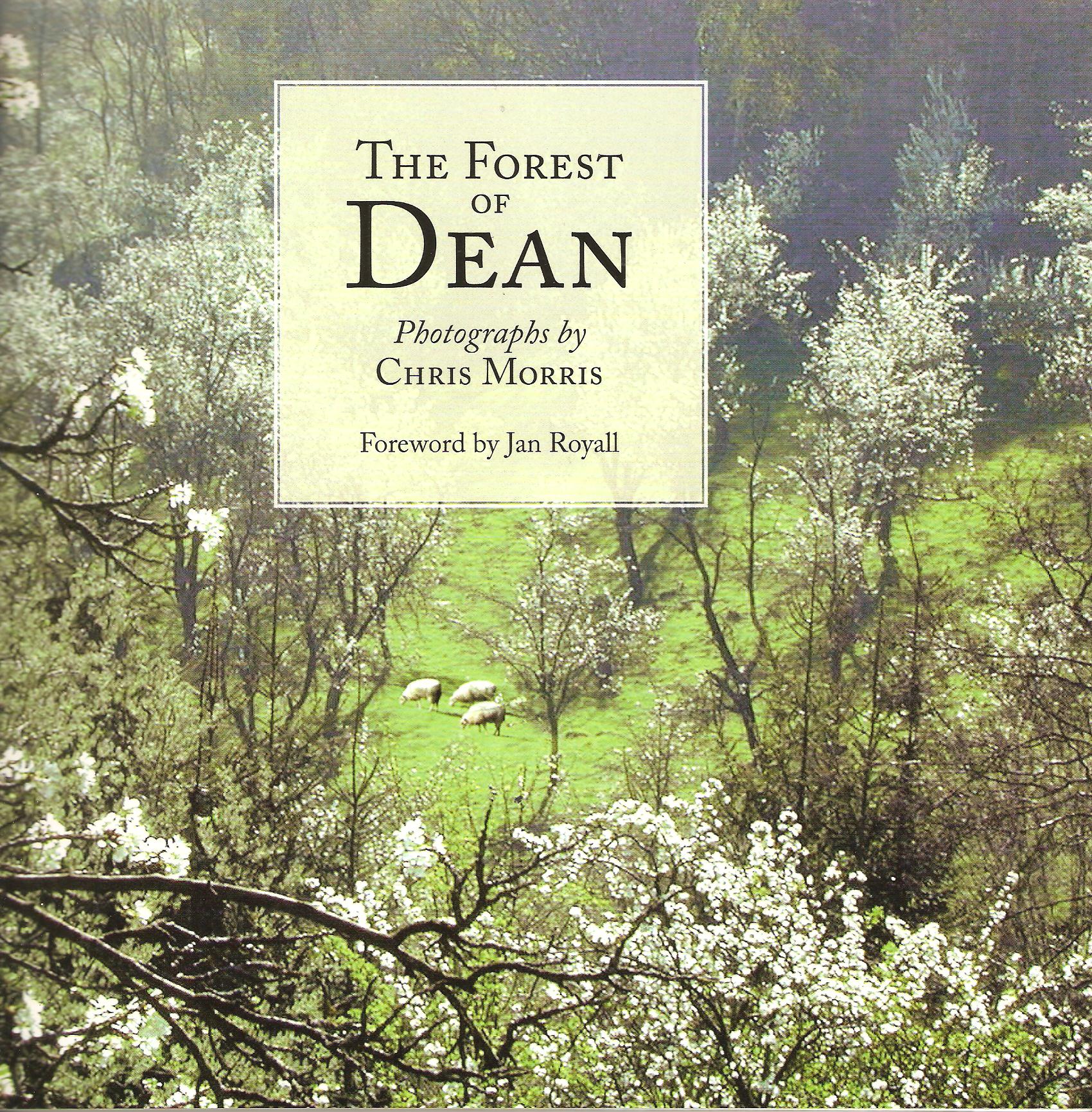 Image for The Forest of Dean