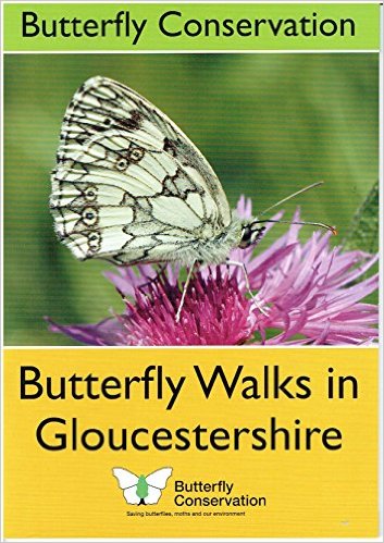 Image for Butterfly Walks in Gloucestershire