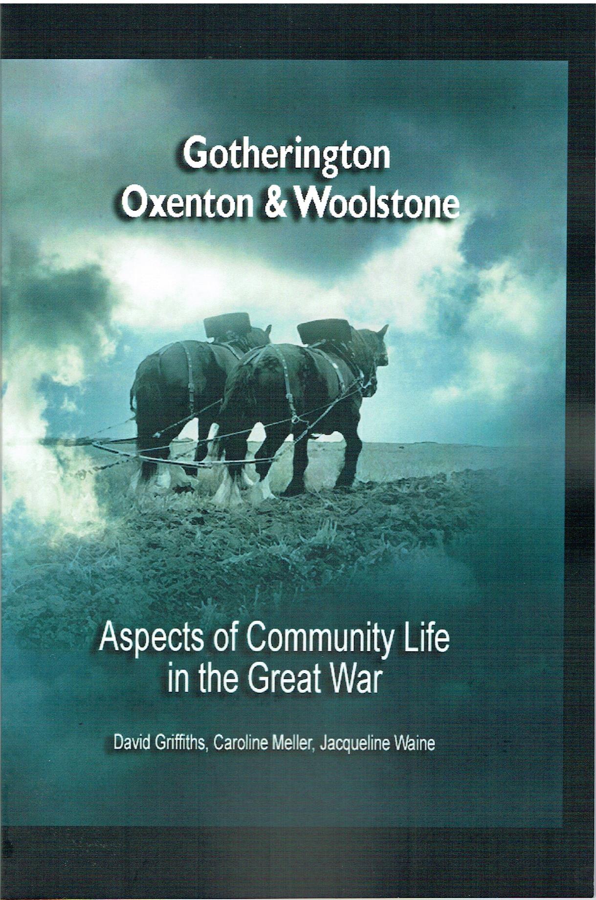 Image for Aspects of Community Life in the Great War